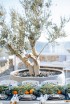 Mykonos luxury elopement - style shoot at Mykonos riviera